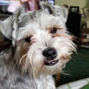 Meet your Posher, Margaret